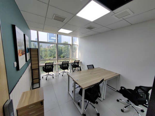 山东艾塔猫砂制造商