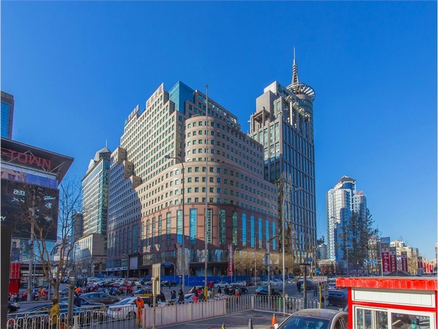 山东艾塔猫砂制造商